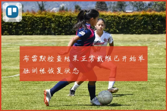 布雷默检查结果正常戴维已开始单独训练恢复状态